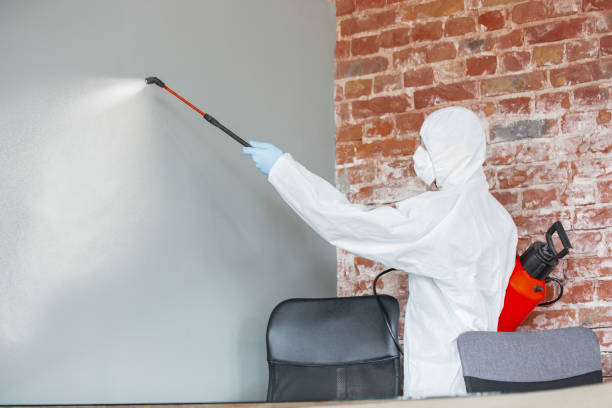 Best Air Quality Testing for Mold Spores  in Rosedale, CA